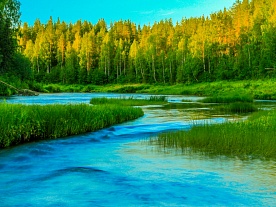 архангельская область. авторские фототуры по архангельской области. рыболовные туры в архангельской области. рыбалка. на таёжной речке летом архангельская область. авторские фототуры по архангельской области. рыболовные туры в архангельской области. рыбалка. на таёжной речке летом